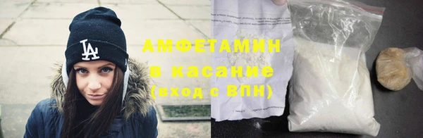 сатива Куйбышев