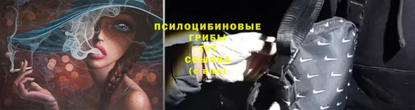 МДПВ Михайлов