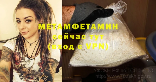 молекула духа Ладушкин