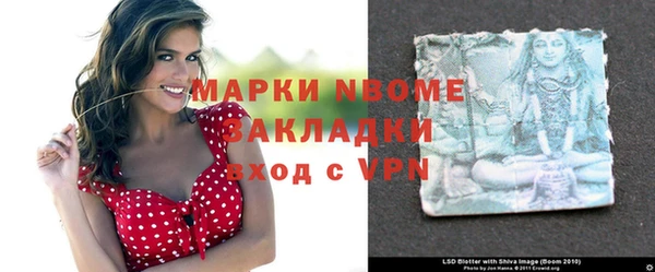 МДПВ Михайлов